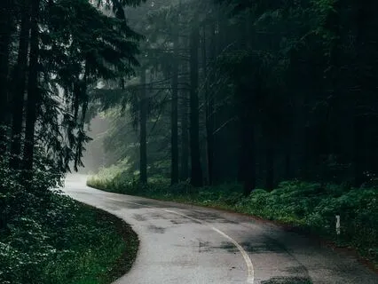 Cozy Rainy Day Ambience & Calming Music For Relaxation