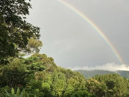 Cozy Rainy Day Bamboo Flute