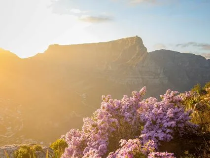 Cozy Rhythms: Restorative Acoustic Guitar