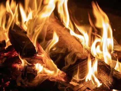 Cozy Room Relaxation