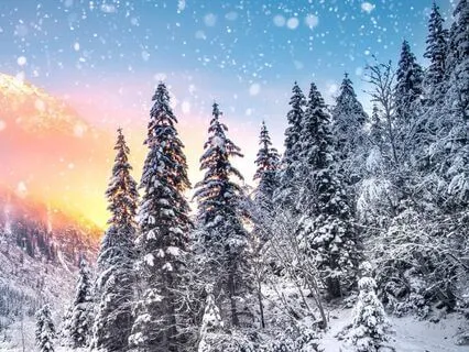 Cozy Winter Ambiance With Blizzard Sounds