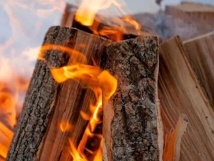 Cozy Winter Bonfire Ambiance