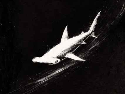 CP-02/09 — Predator Focus