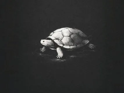 CP-05/09 — Nervous System Grounding for Work Stress