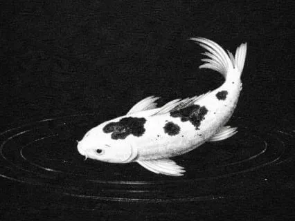 CP-07/09 — After-Work Decompression