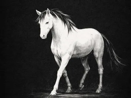 CP-08/09 — Recovery After Draining Days