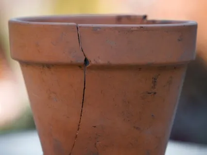 Cracked Pot