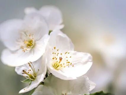 Cradled In Starlight: A Sleep Meditation For Deep Rest