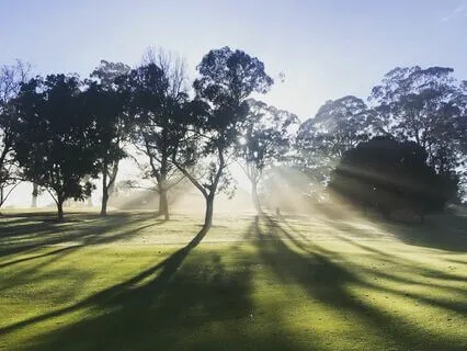 Cre8 Gratitude B4 Leaving Your Bed! 3 Mins