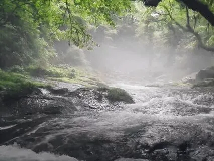 Create A Beautiful Dream