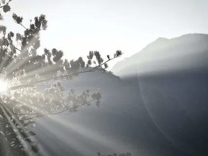 Create A Life Of Newness