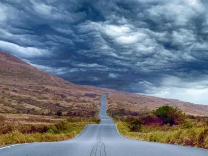 Create A Life That Is Aligned With You (Live Recording) 