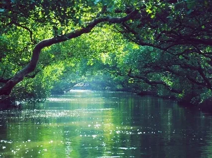 Create A New Money Story