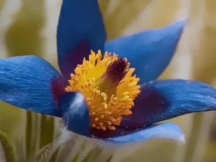 Create A Safe Inner Sanctuary For Trauma Healing