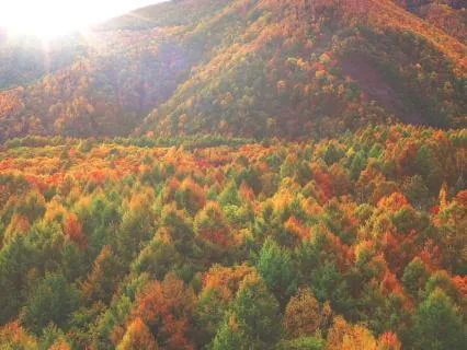 Create A Safe Place Meditation