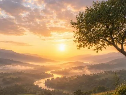 Create Abundance