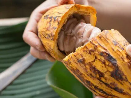 Create, Connect, Receive: Creating Your Sacred Space