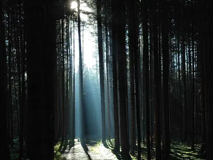 Create Focus, Keep Your Energy High, And Dance