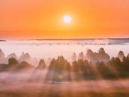 Create Joy Every Morning