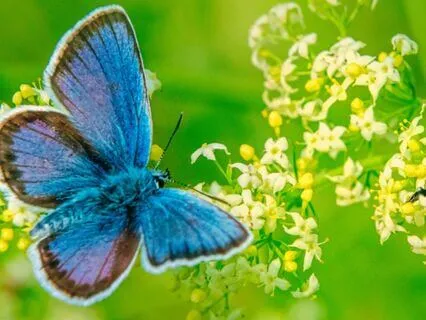 Create New Habits: Language Of Change