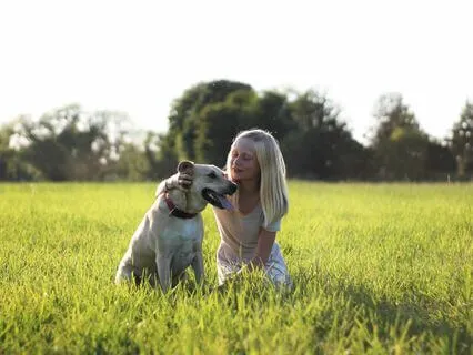 Create Perfect Moments: Choose Identifications