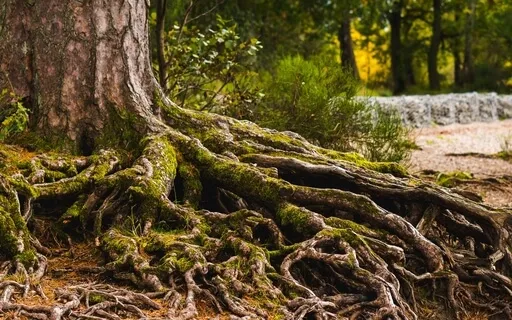 Create Possibility Meditation