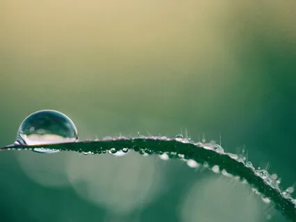 Create Space for Extraordinary in your Mind, Body, and Heart