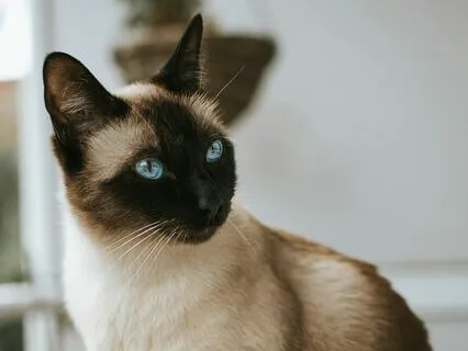 Create Space For Reflection: The Key To Inner Growth