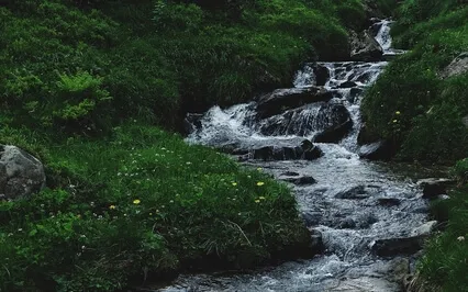 Create Space From Thoughts | Leaves On A Stream