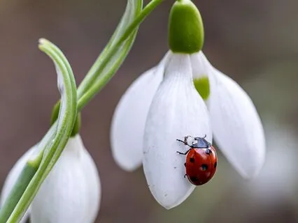 Create The Best Day Of Your Life
