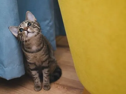 Create The World You Live In: Choose Surroundings