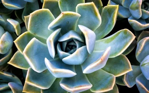 Create Vs Attract Pt2 -Harmonizing, 5D, & Lemuria Channeling