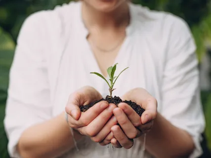 Create Wealth Meditation