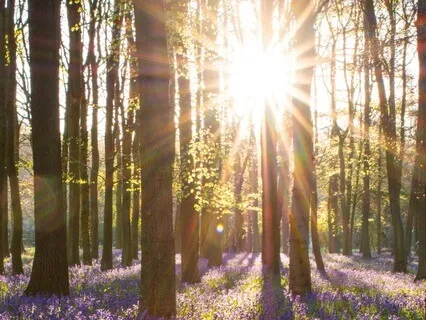 Create Your Day In 5 Minutes