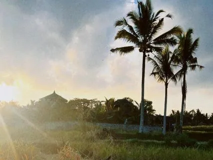 Create Your Dream Life: Quantum Leap Meditation