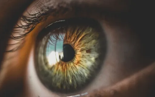 Create Your Future By Healing The Past