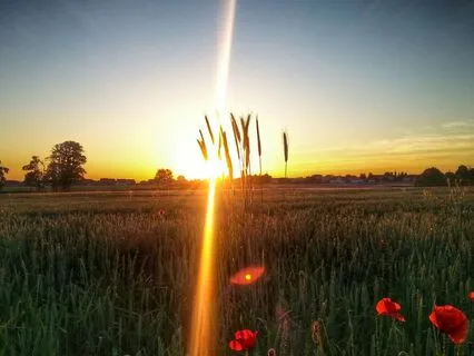 Create your New Reality Consciousness - Meditation Music