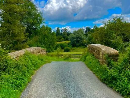 Create Your New Self