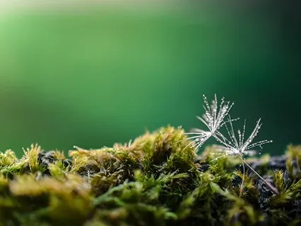 Create Your Own Peaceful Place