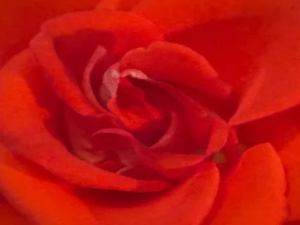 Create Your Own Walking Practice