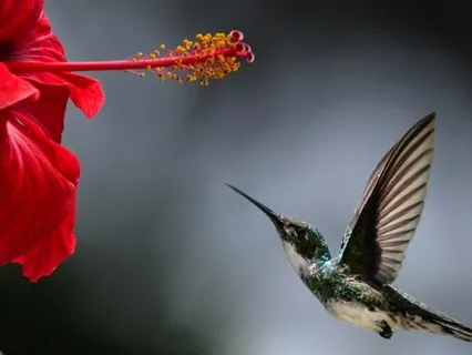 Create Your Personalized Plan For Harmonious Life ~4/4 E114