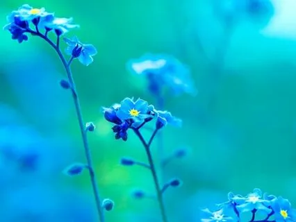 Create Your Reality : Time-Friendly Affirmations