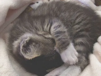 Create Your Safe Haven: Visualization For Anxiety Relief