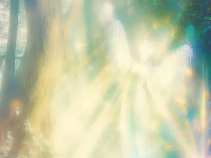 Create Your Sanctuary Of Peace