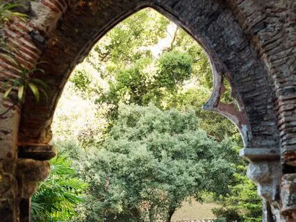 Create Your Sankalpa Yoga Nidra With Open Focus