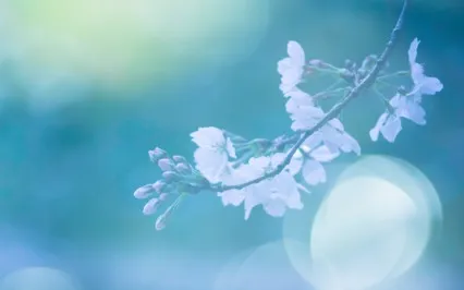 Creating A Desired Outcome With Help From Your Future Self