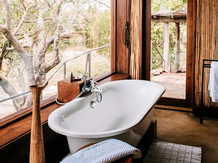 Creating A Healthy Environment In Your Home