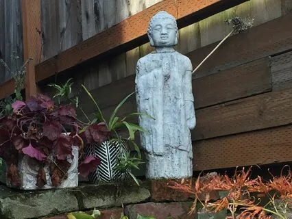 Creating A Healthy Future