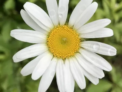 Creating A Loving Space For Discomfort