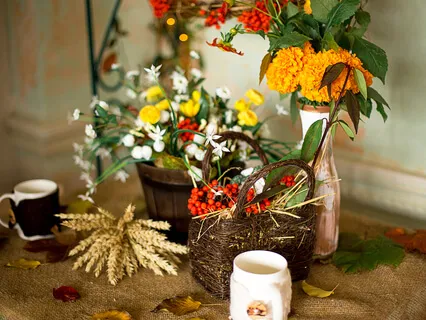 Creating A Mental Garden